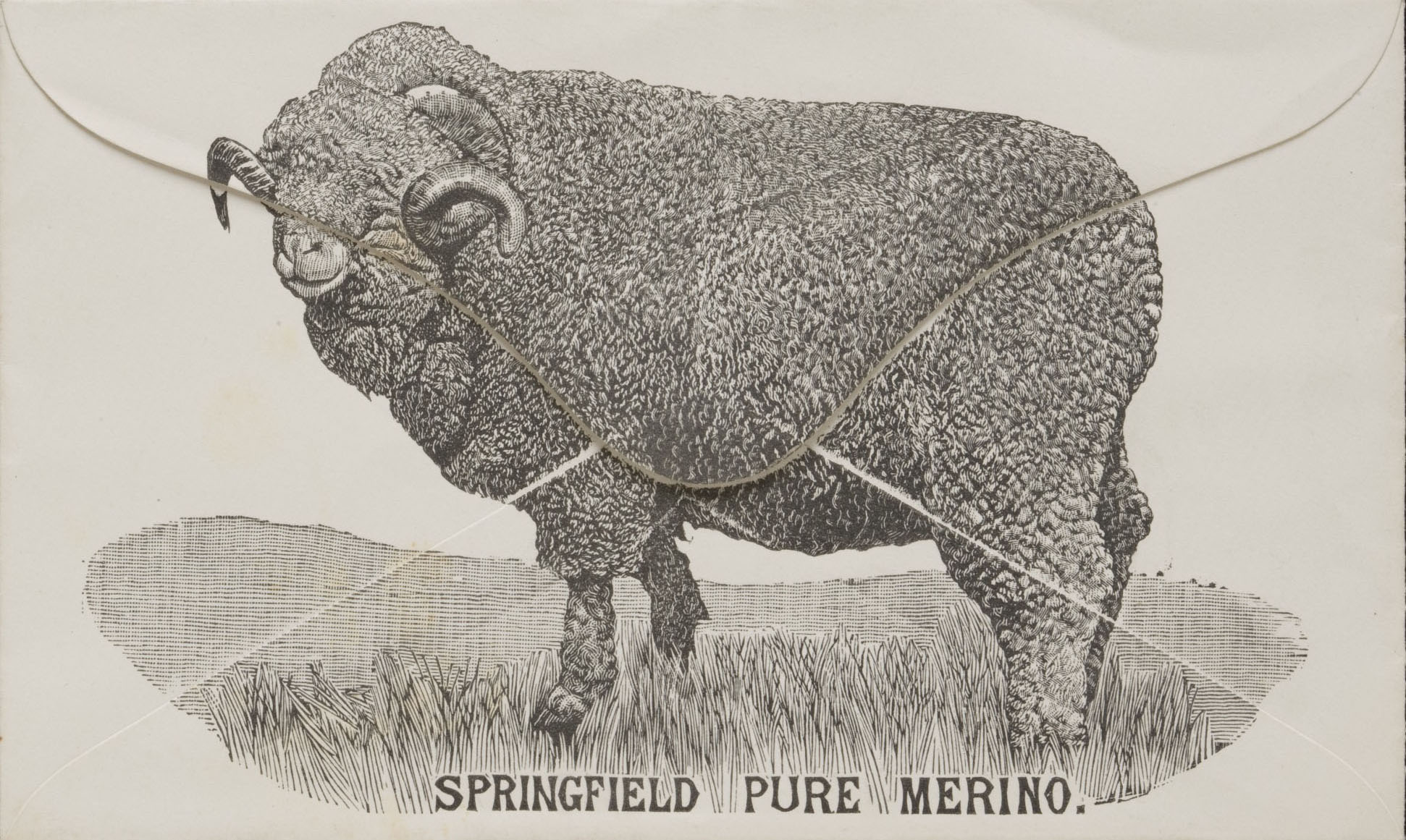 <p>Envelope with an illustration of a merino ram on it</p>
