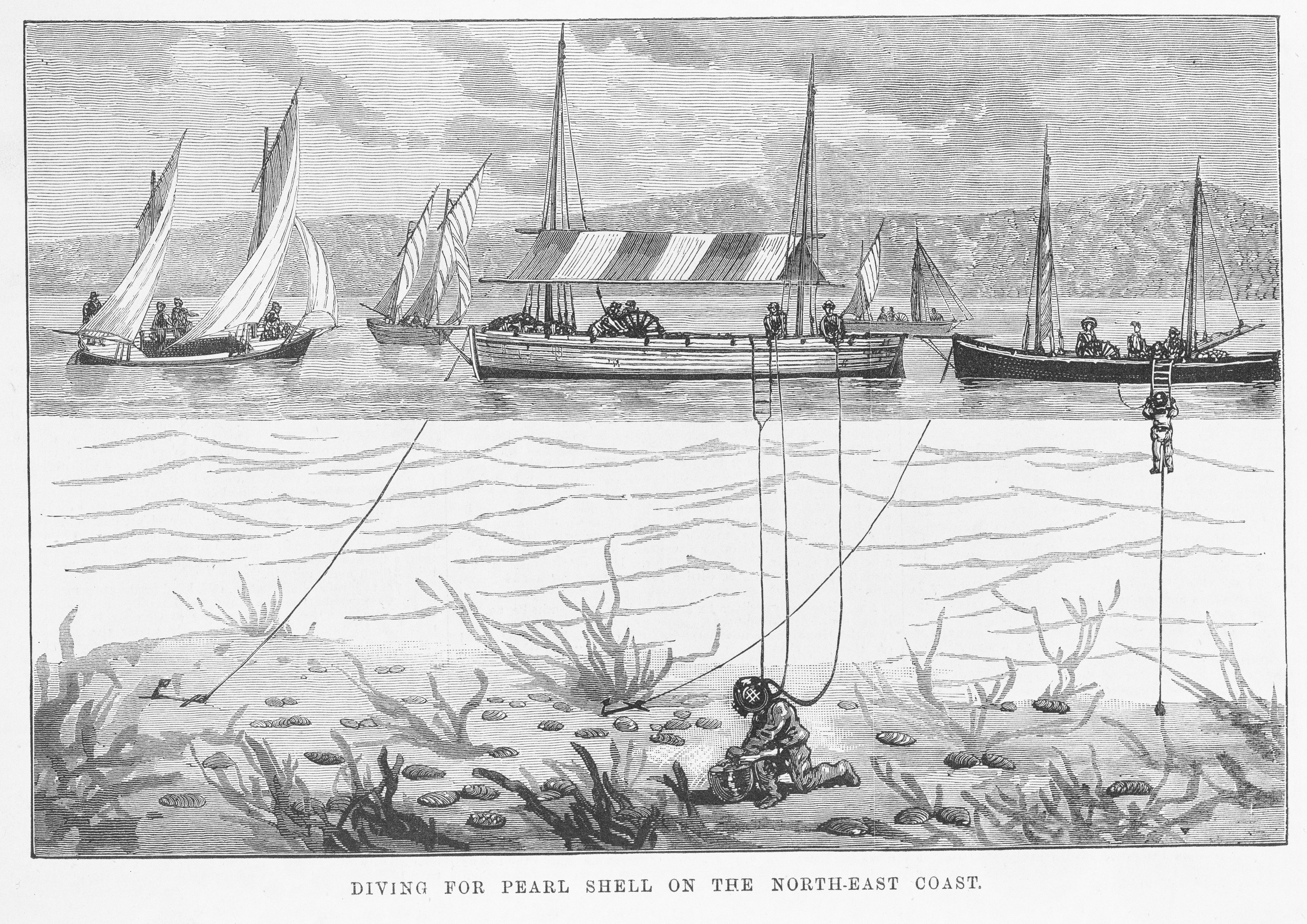  <i>Diving for pearl shell on the north-east coast</i>