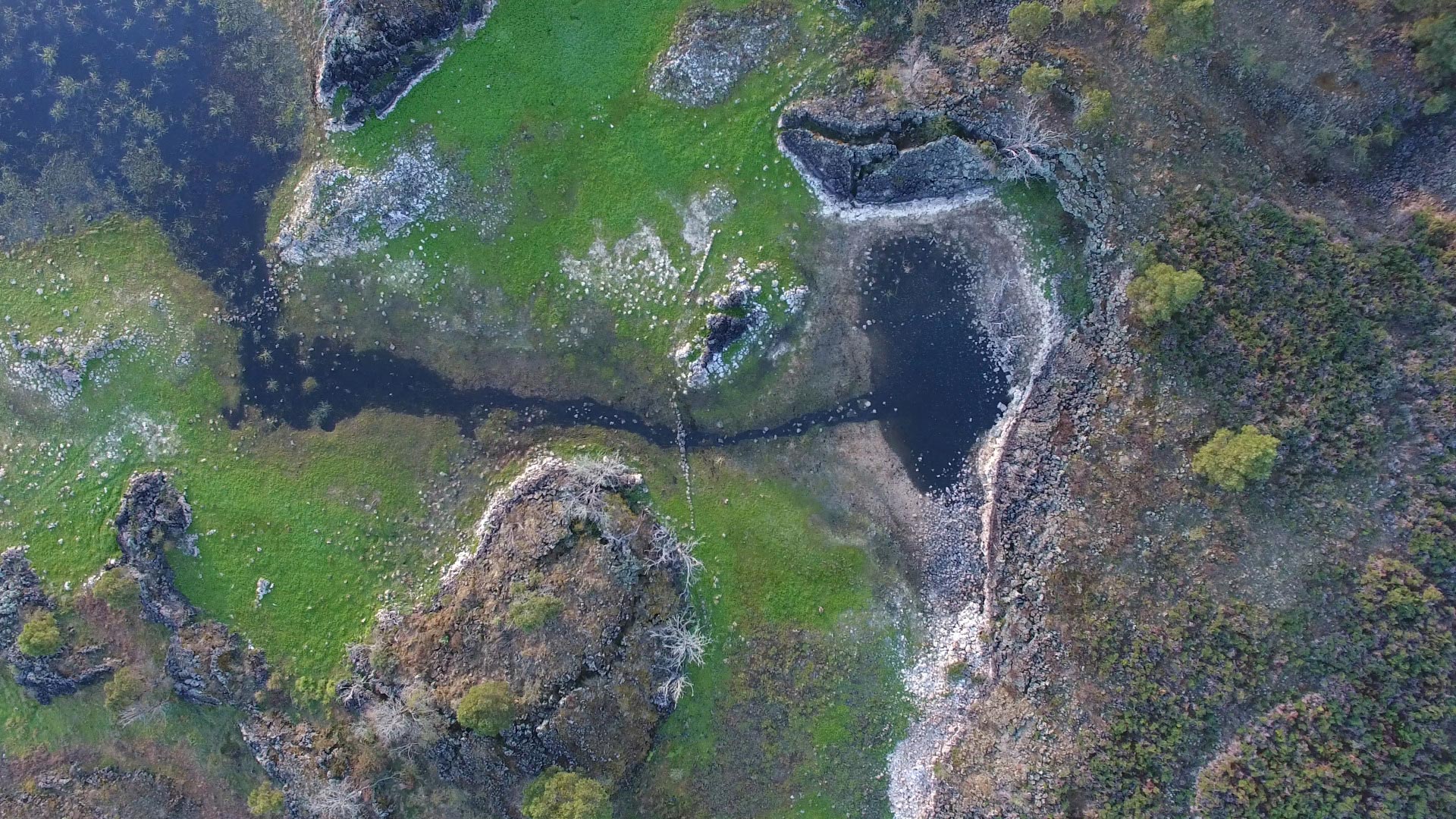 <p>Tae Rak (Lake Condah) channel and holding pond</p>
