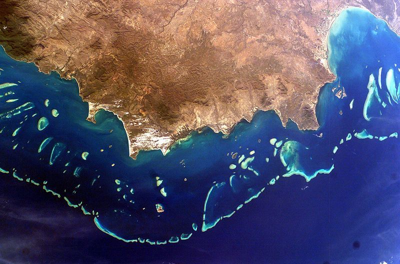 Environment Movement map