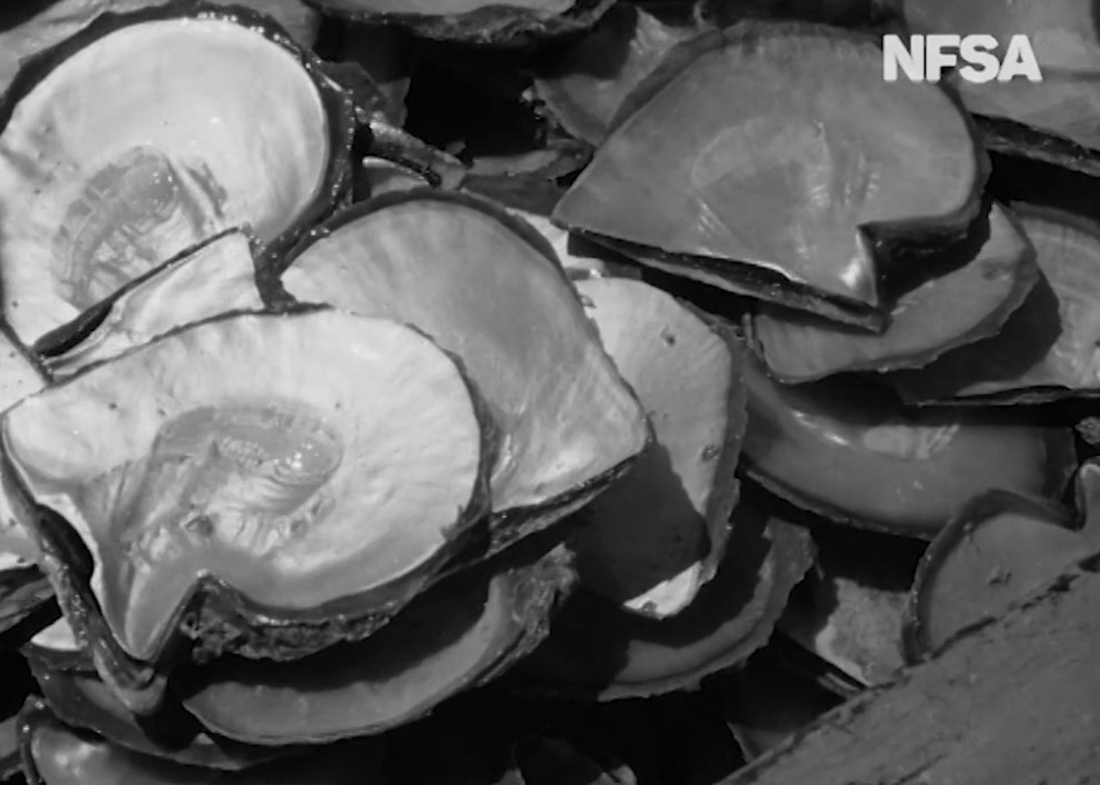 Pearl divers off the coast of Broome (1949)
