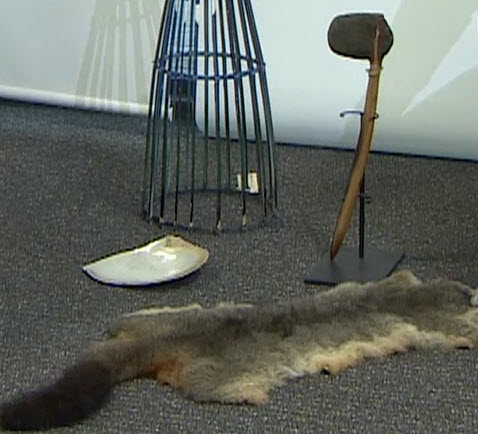 A collection of objects including possum skin, an oyster shell and a stone and wood tool