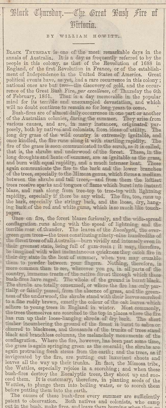 Newspaper clipping, 'BLACK THURSDAY – THE GREAT BUSHFIRE OF VICTORIA. BY WILLIAM HOWITT.'