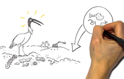 Anthropocene sketch animation