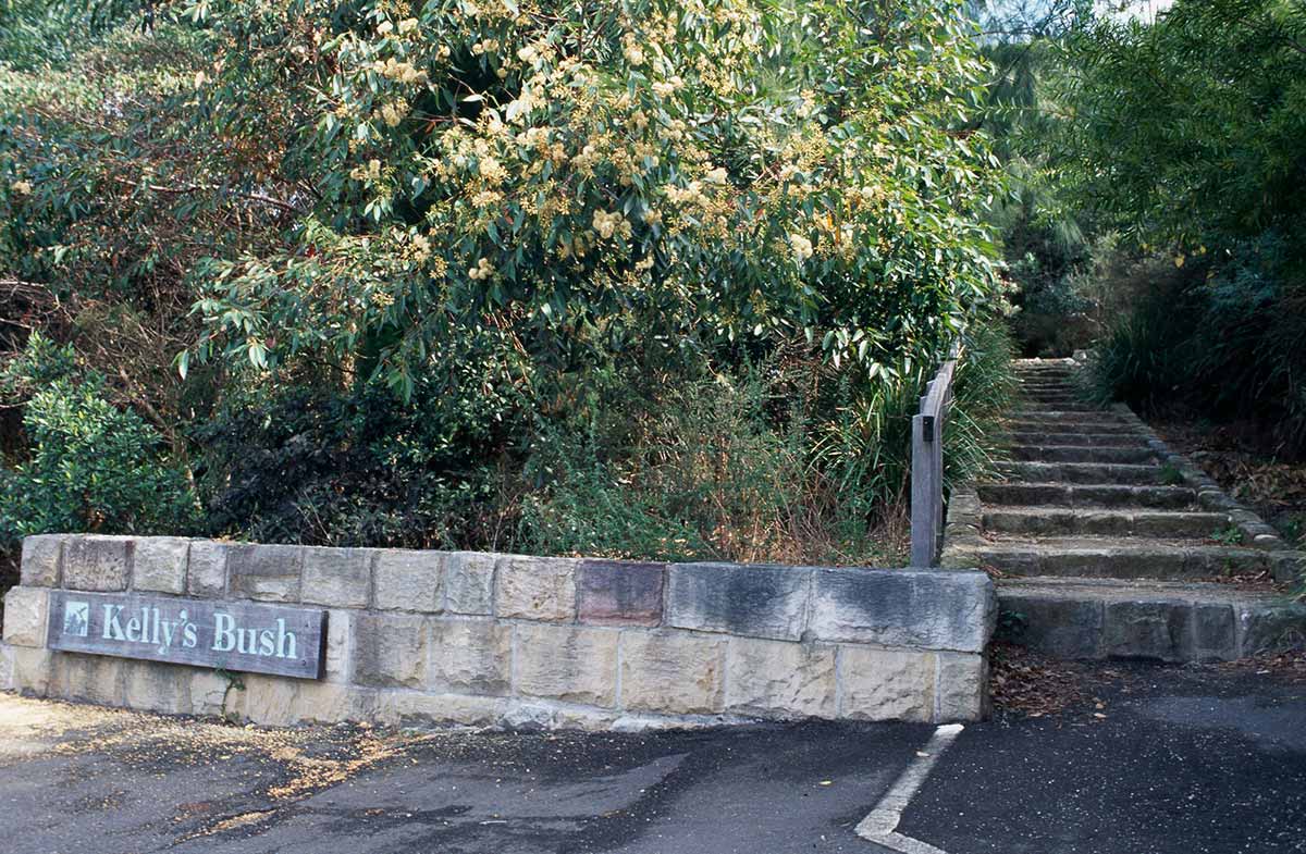 <p>Kelly’s Bush. A Sydney park that was set to have houses built over it during the 1970s, but was saved by community and union activism.</p>
