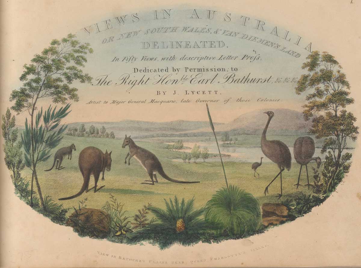 <p><em>View in Bathurst Plains near Queen Charlotte's Valley</em>, by Joseph Lycett</p>
