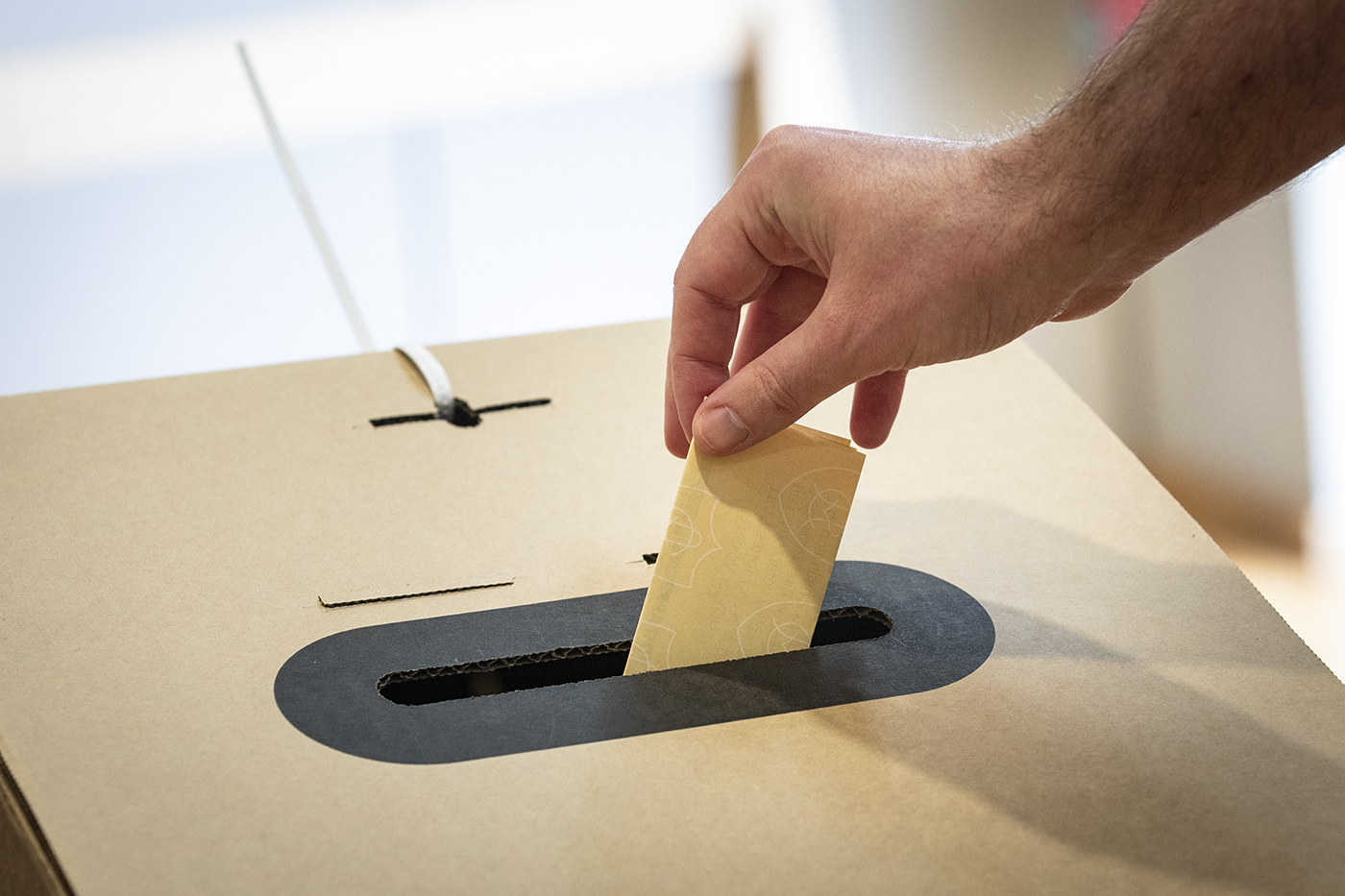 A hand placing a vote in a cardboard ballot box