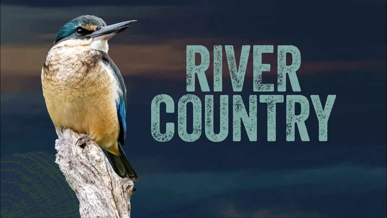 River Country title slide featuring a kookaburra and the title "River Country'