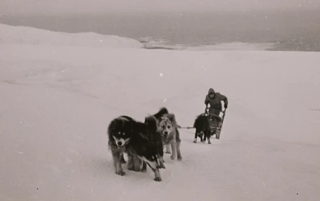 A sepia photograph of a sled being towed by several dogs, with a man behind the sled pushing it up a hill. Snow surrounds them, with a view of the ocean behind.